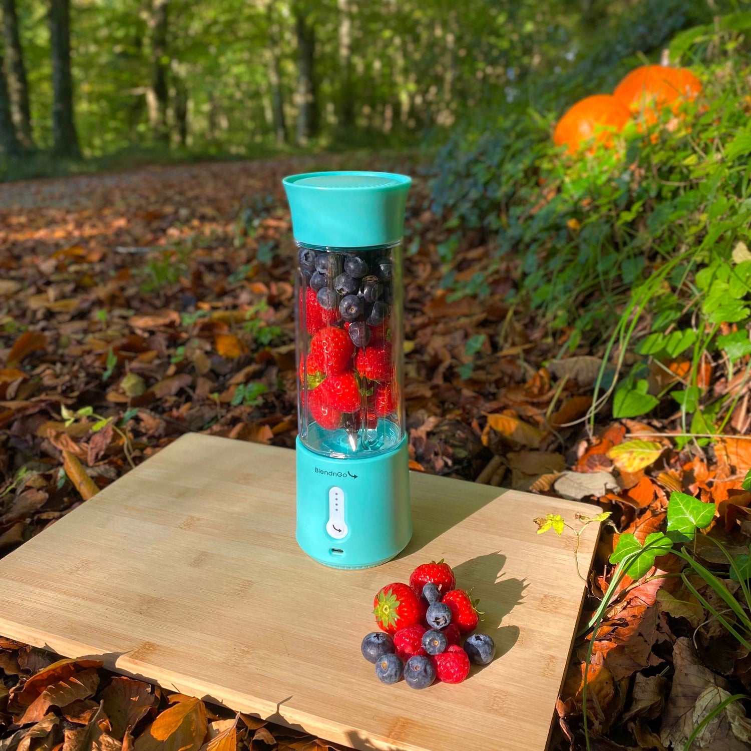 BlendnGo Portable Blender
