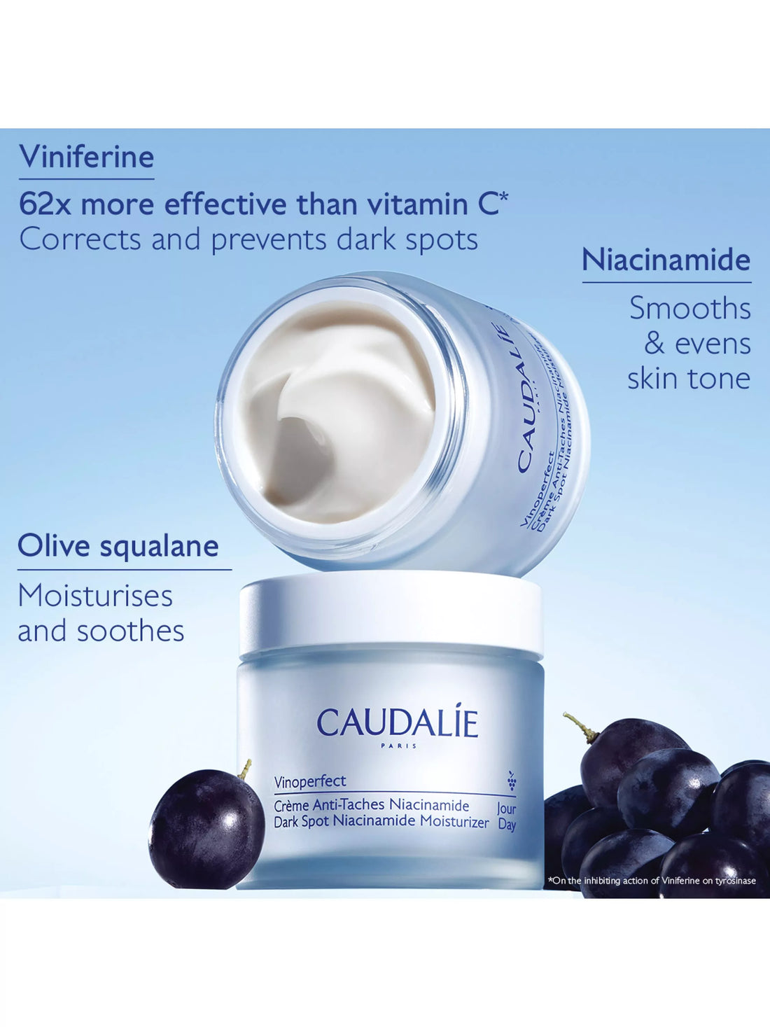Vinoperfect Dark Spot Niacinamide Day Moisturiser